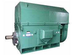 Y4006-4/500KWY系列6KV高压电机