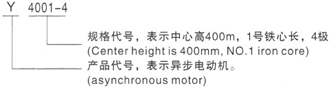 西安泰富西玛Y系列(H355-1000)高压Y4006-4/500KW三相异步电机型号说明